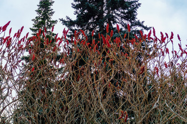 Similar image 21768867