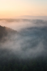 Similar image 21769423