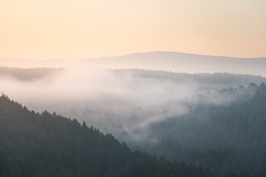 Similar image 21769424