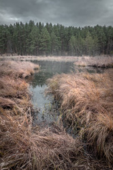 Similar image 21776254