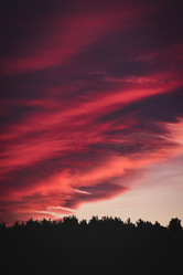 Similar image 21776256