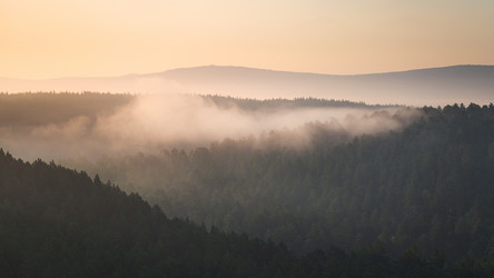 Similar image 21769425