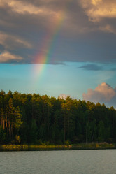 Similar image 21770031