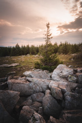 Similar image 21776264