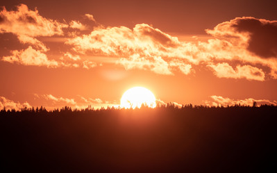 Similar image 21769780