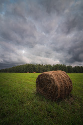 Similar image 21769427