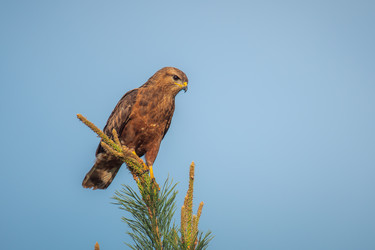 Similar image 21770039