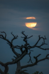 Similar image 21769782