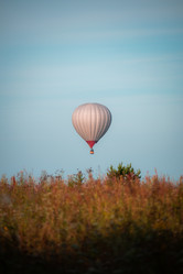 Similar image 21769783