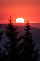 Similar image 21769784