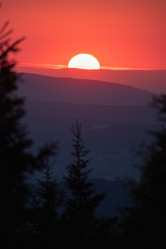 Similar image 21769785