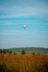 Similar image 21769786