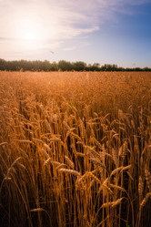 Similar image 21770045