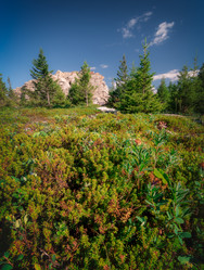 Similar image 21770046