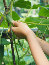 Similar image 21779592