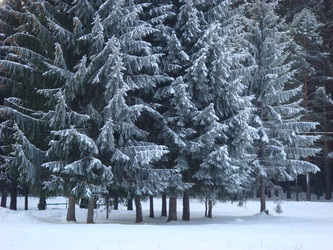 Similar image 21768470