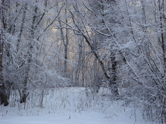 Similar image 21768479