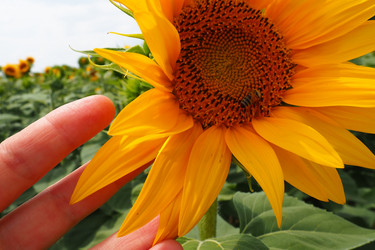 Similar image 21769152