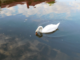 Similar image 21768434