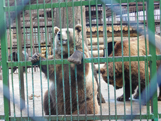 Similar image 21768436