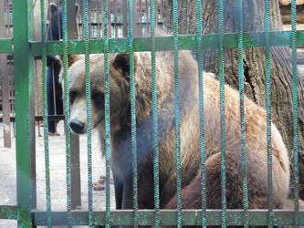 Similar image 21768437