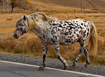 Similar image 21775988