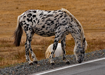 Similar image 21775989