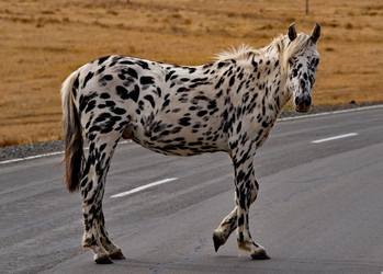 Similar image 21775990