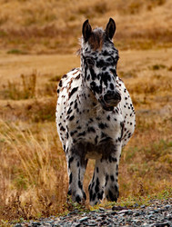 Similar image 21775992