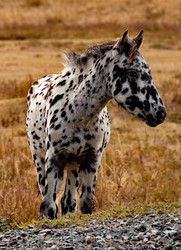 Similar image 21775993