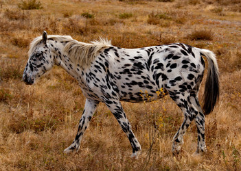 Similar image 21775994