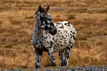 Similar image 21775995