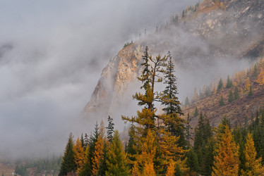 Similar image 21767472