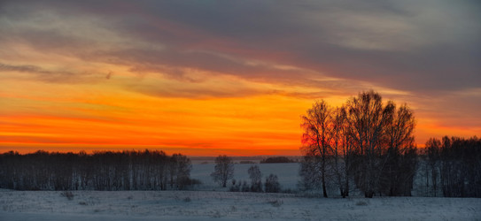 Similar image 21772756