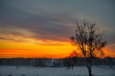 Similar image 21772757