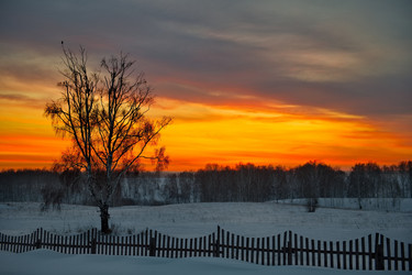 Similar image 21772758