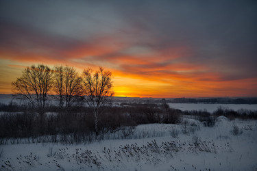 Similar image 21772759