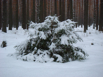 Similar image 21768474