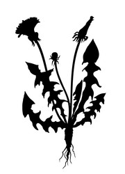 Similar image 21768602