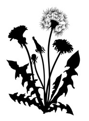 Similar image 21768603