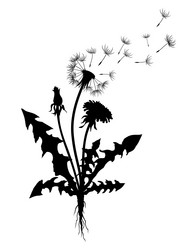 Similar image 21768604