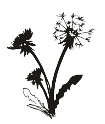 Similar image 21768606