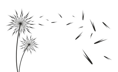 Similar image 21768766