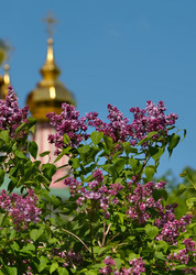 Similar image 21777346