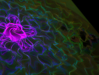 Similar image 21768086