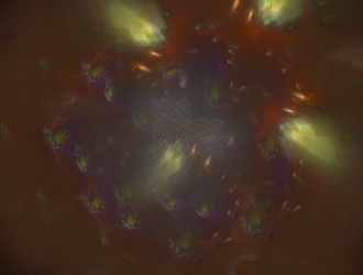 Similar image 21768091