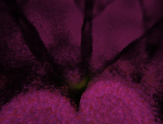 Similar image 21768112