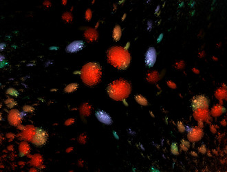 Similar image 21768138