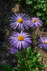 Similar image 21767512