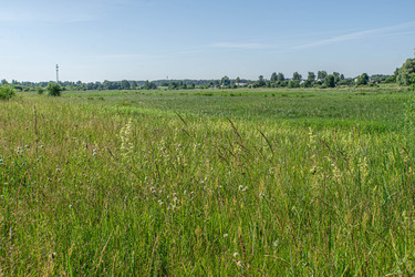 Similar image 21767514